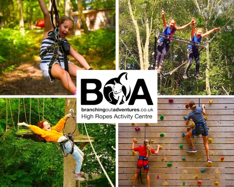 Children enjoying high ropes and climbing activities at Branching Out Adventures in East Sussex